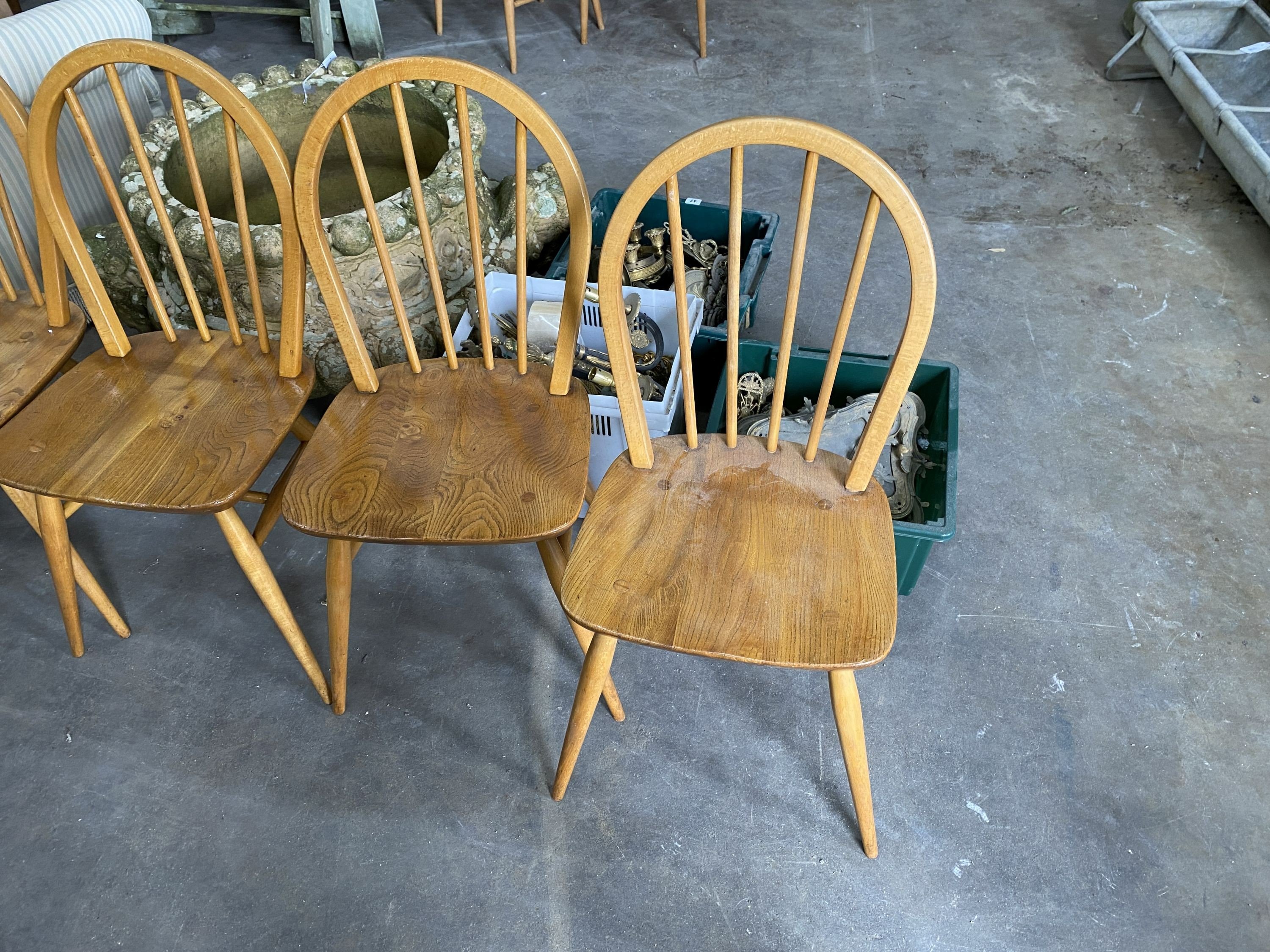 A set of four 1950's Ercol chairs